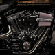 Illustration for article titled Harley-Davidsons Two New Motorcycles Are Actually Awesome